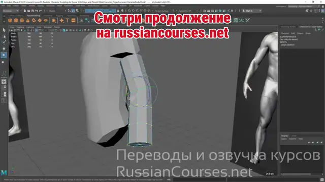 015-Modeling The Arm